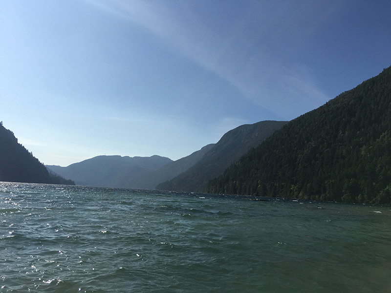 President’s message